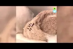  تخم‌مرغ‌های فسیل شده 85 میلیون ساله در آرژانتین