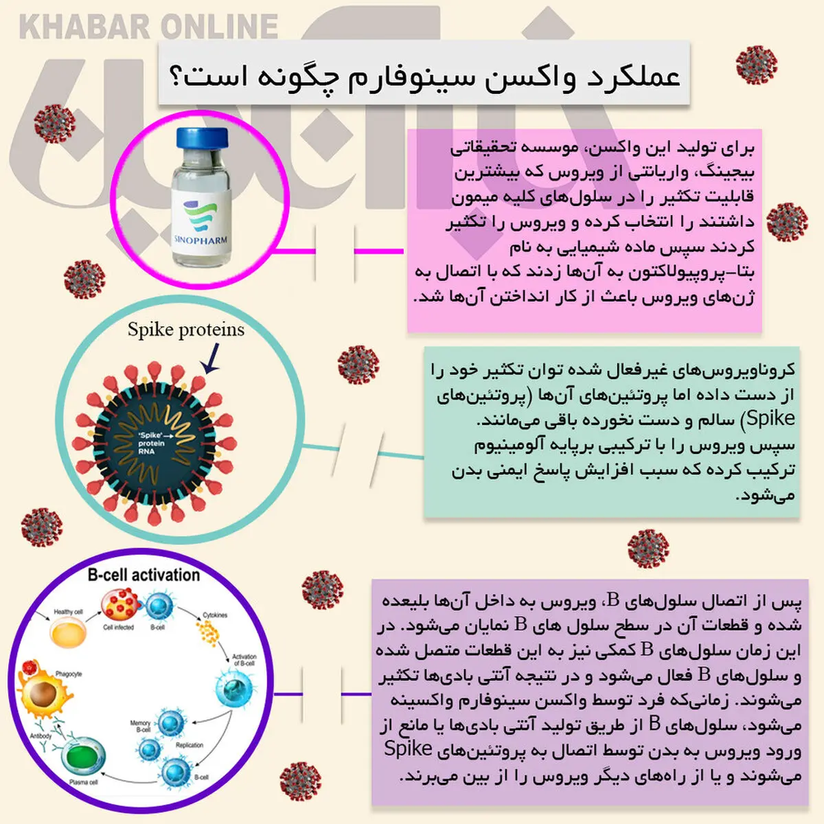 نحوه عملکرد واکسن سینوفارم چگونه است؟