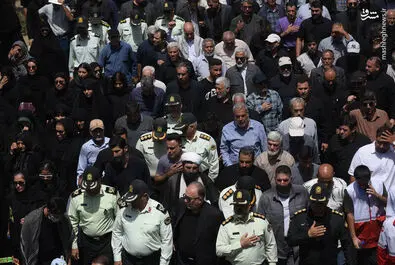 شهید