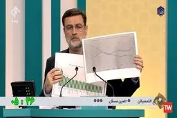 قاضی زاده هاشمی برخی کاندیداها را به «پشه» تشبیه کرد