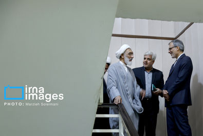 ایرنا پورمحمدی