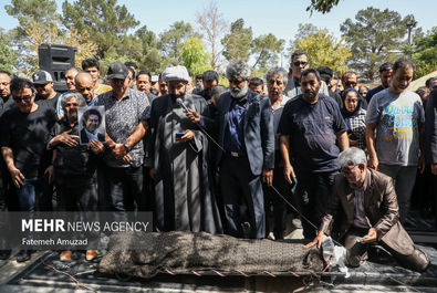 آرش میراحمدی