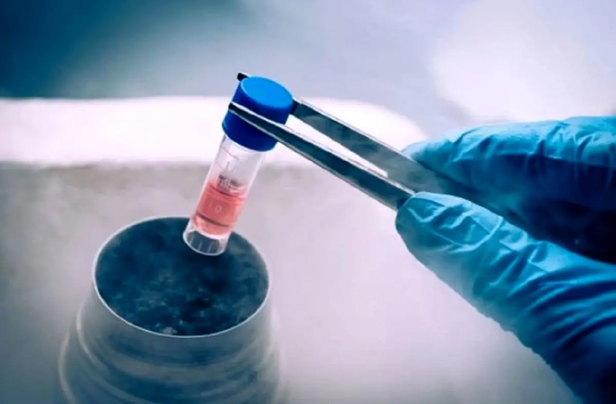 ورود فوری وزارت بهداشت به ماجرای ناپدید شدن جنین‌های فریز شده!