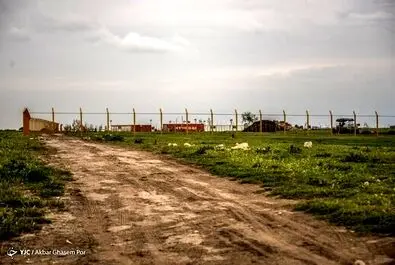 میانکاله