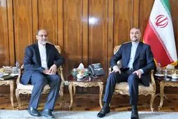 دیدار سرکنسول جدید ایران در کربلا با امیر عبداللهیان