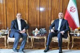 دیدار سرکنسول جدید ایران در کربلا با امیر عبداللهیان