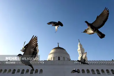 مدینه منوره