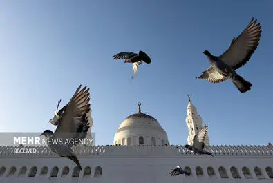 مدینه منوره