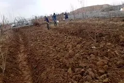 قیمت زمین باغی در شهریار