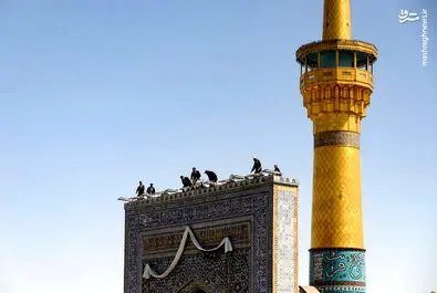 حرم رضوی