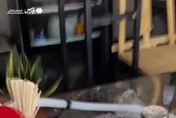  عربده‌کش بجنورد دستگیر شد