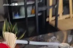  عربده‌کش بجنورد دستگیر شد