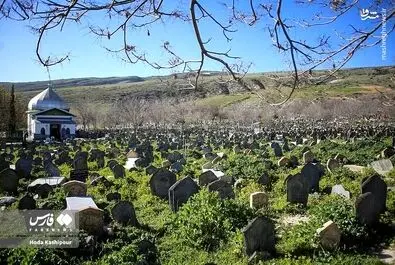 گورستان سفیدچاه