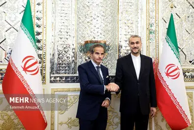 رافائل گروسی