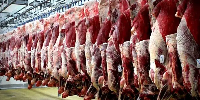 حذف کامل عرضه گوشت‌های وارداتی در میادین تره بار