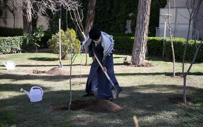 انتقاد رهبر انقلاب از تخریب جنگلها و محیط زیست