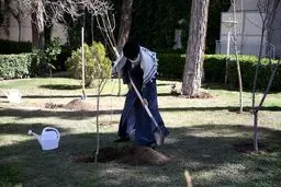 انتقاد رهبر انقلاب از تخریب جنگلها و محیط زیست
