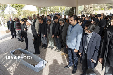 همایون ارشادی