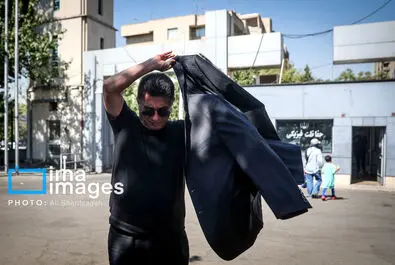 داریوش مصطفوی