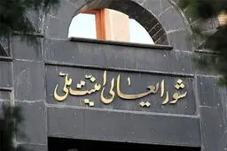 عرضه اینترنت پرو در شورای عالی امنیت ملی تصویب شد