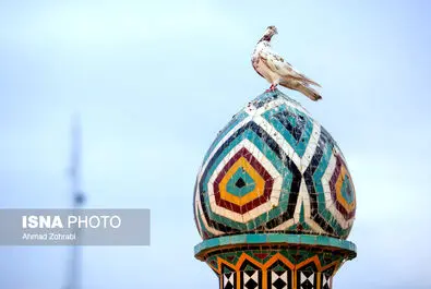 حرم حضرت معصومه