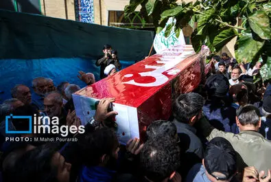 علیرضا افشار