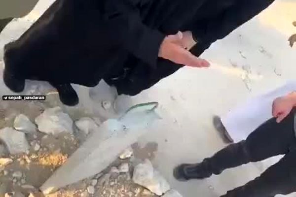 لحظه وداع همسر رهبر حماس با پسرش