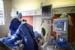 ثبت ۸ فوتی ناشی از کرونا در بوشهر
