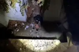 متلاشی شدن باند گروگان‌گیر ۶ نفره