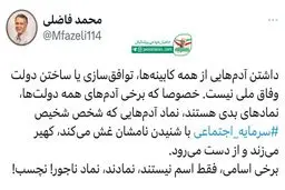 انتقاد شدید فاضلی به کابینه وفاق ملی