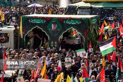 نیلفروشان