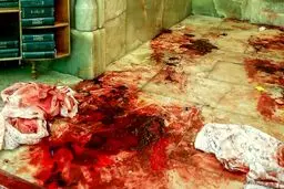 جزئیات دستگیری نفر دوم حمله تروریستی به حرم شاهچراغ