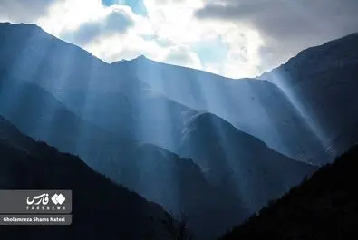 آتش سوزی جنگل