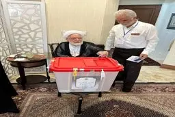 مهدی کروبی هم رای داد