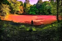 تصاویر قرمزترین تالاب ایران