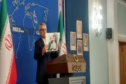 بقائی: آمریکا مستقیم در کشتار ایرانی‌ها نقش دارد!