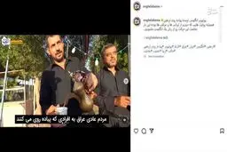 حیرت یک انگلیسی از پیاده‌روی اربعین +فیلم