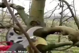 تصاویر عجیب از یک قیچی باغبانی جدید