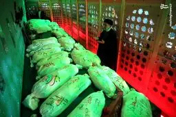 تصاویر حضور رئیسی در معراج شهدای اهواز