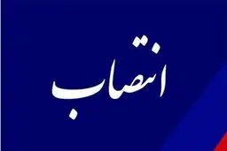 علیرضا بیات رئیس سازمان حج و زیارت شد