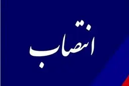 علیرضا بیات رئیس سازمان حج و زیارت شد