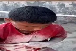 کودکانی که از میان خاک آرد جمع می‌کنند ؛ تصاویری تلخ از غزه