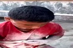 کودکانی که از میان خاک آرد جمع می‌کنند ؛ تصاویری تلخ از غزه