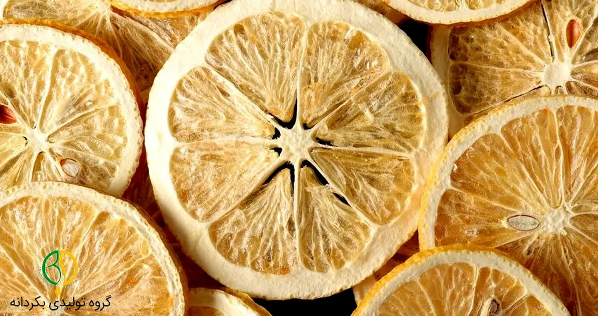 بهترین دستگاه میوه خشک کن 