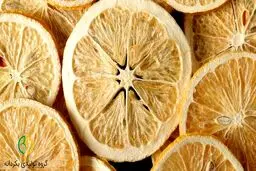 بهترین دستگاه میوه خشک کن 