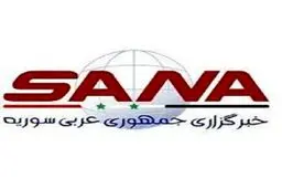 حمله سایبری به خبرگزاری سوریه؛ سانا از دسترس خارج شد