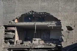 اینجا ما ایستاده می میریم !