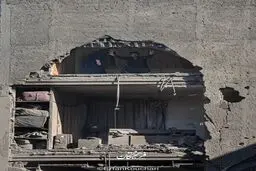 اینجا ما ایستاده می میریم !