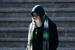 سخنگوی دولت درباره خرازی: در دفاع از عزت و منافع ملی ایستاد