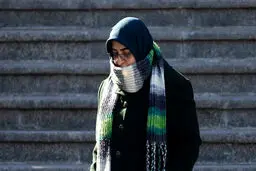 سخنگوی دولت درباره خرازی: در دفاع از عزت و منافع ملی ایستاد